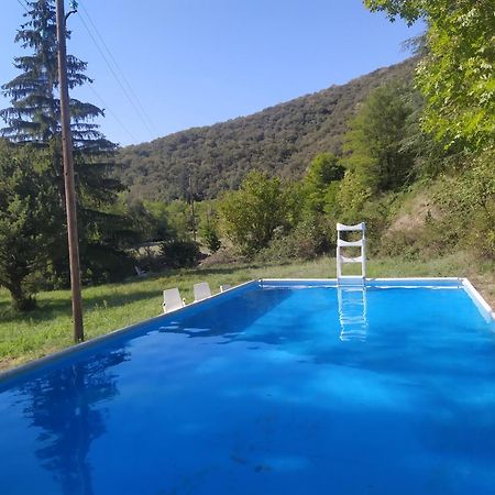 La Grenouille Bed & Breakfast Valleraugue Dış mekan fotoğraf