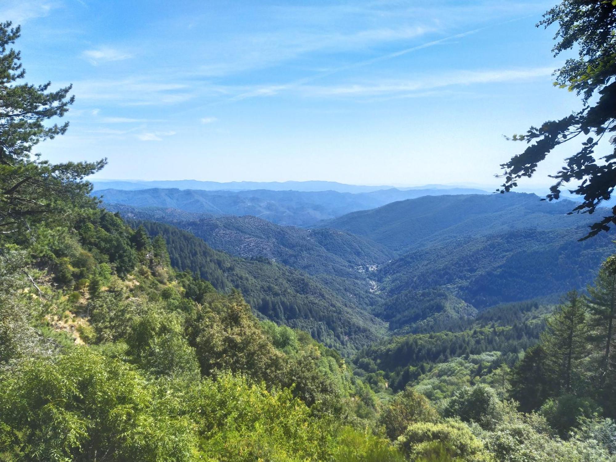 La Grenouille Bed & Breakfast Valleraugue Dış mekan fotoğraf