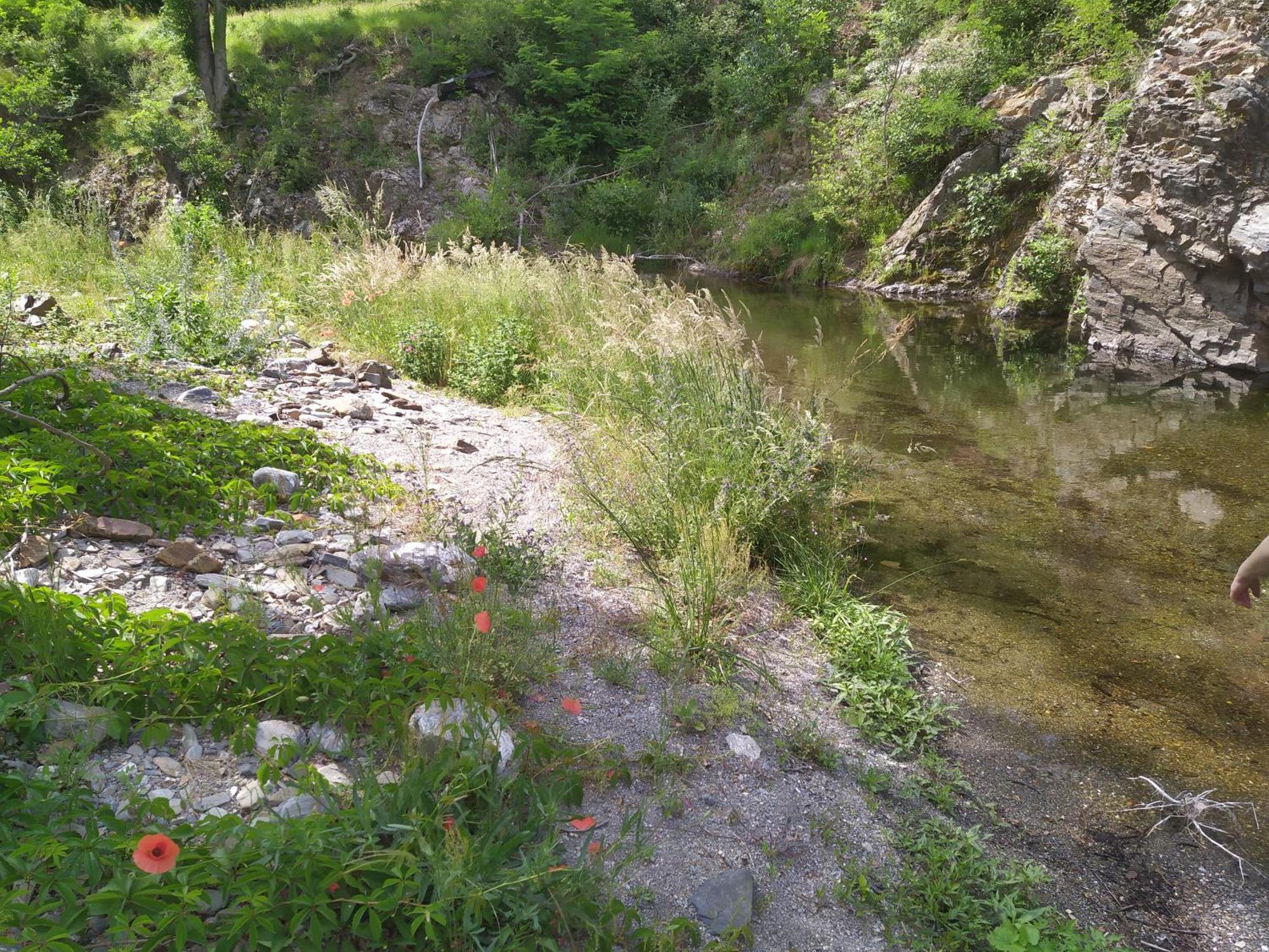 La Grenouille Bed & Breakfast Valleraugue Dış mekan fotoğraf