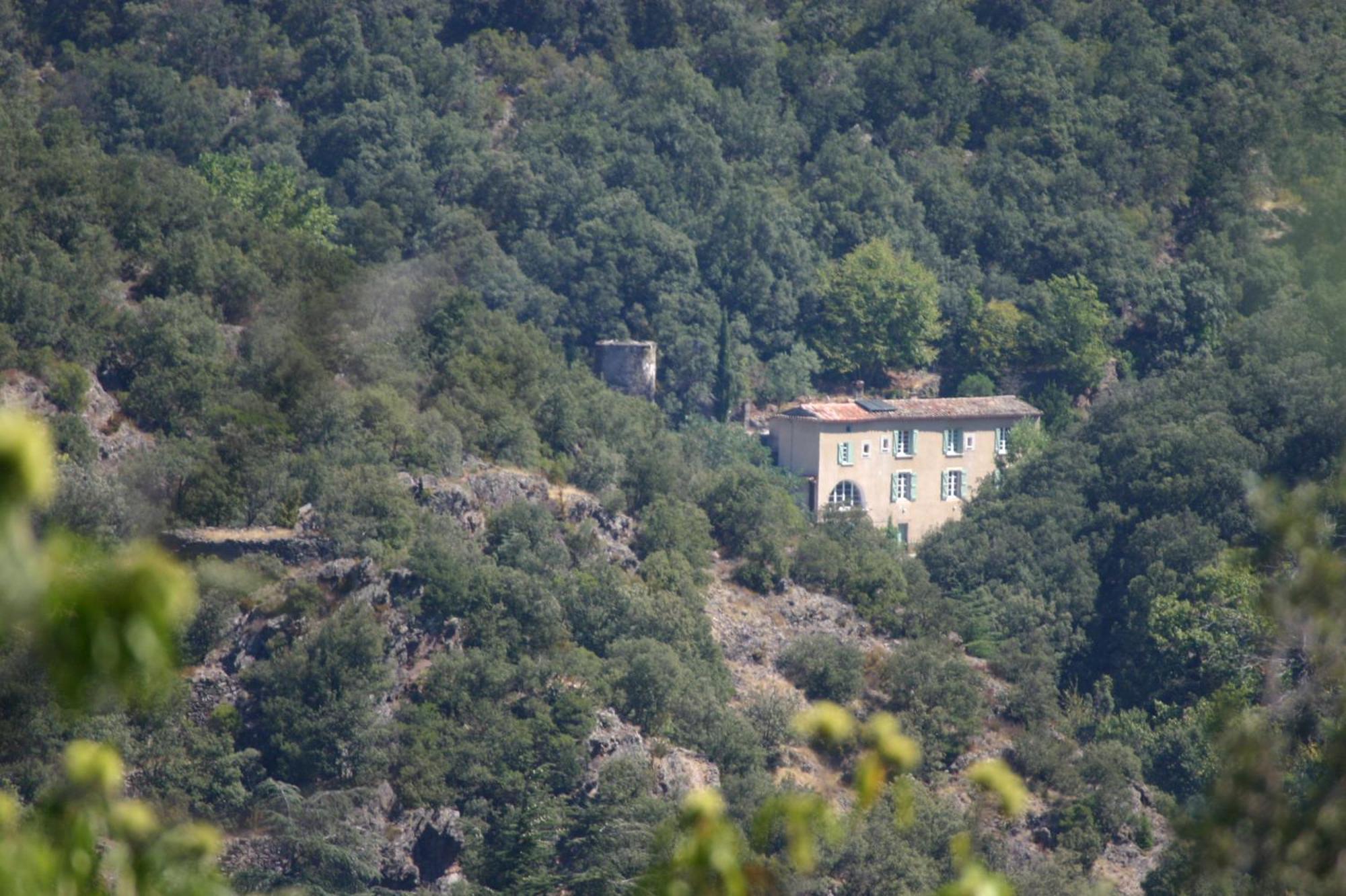 La Grenouille Bed & Breakfast Valleraugue Dış mekan fotoğraf