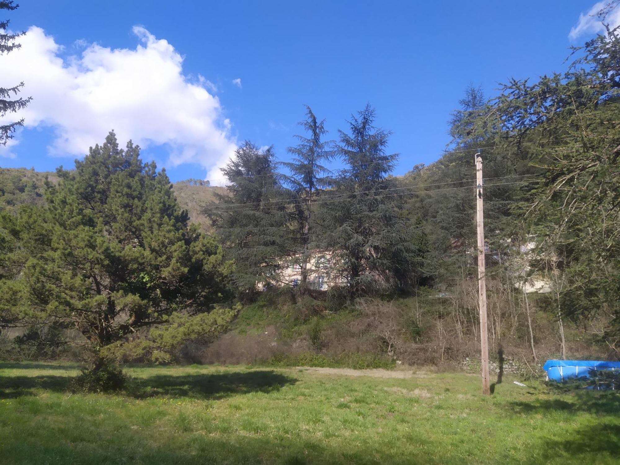 La Grenouille Bed & Breakfast Valleraugue Dış mekan fotoğraf